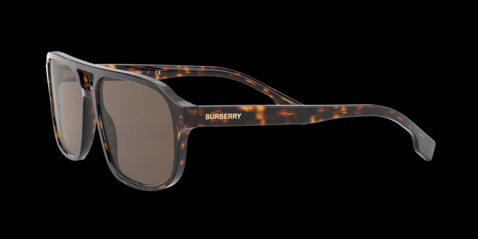 Burberry Francis Sunglasses BE4320 300273