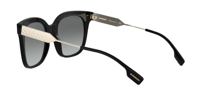 Burberry Evelyn Sunglasses BE4328 300111