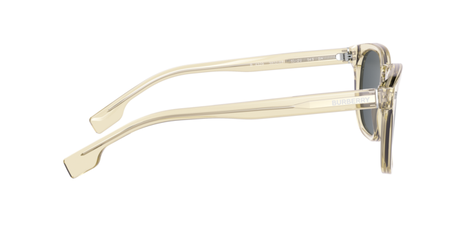 Burberry Ellis Sunglasses BE4329 385287