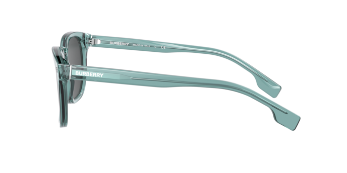 Burberry Ellis Sunglasses BE4329 390987