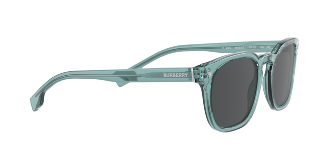 Burberry Ellis Sunglasses BE4329 390987