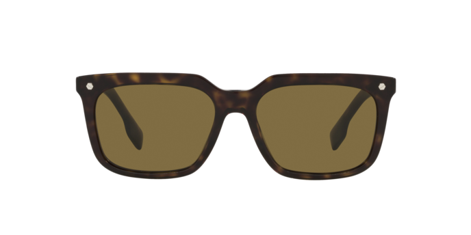 Burberry Carnaby Sunglasses BE4337 300273