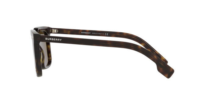 Burberry Carnaby Sunglasses BE4337 300273