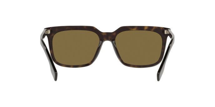 Burberry Carnaby Sunglasses BE4337 300273