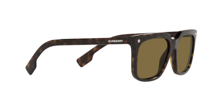 Burberry Carnaby Sunglasses BE4337 300273