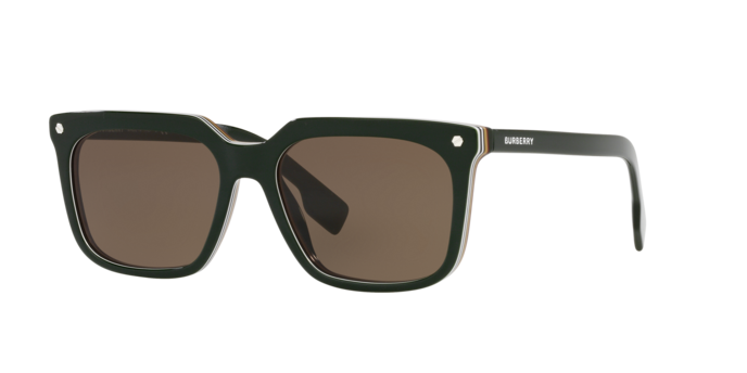 Burberry Carnaby Sunglasses BE4337 392773