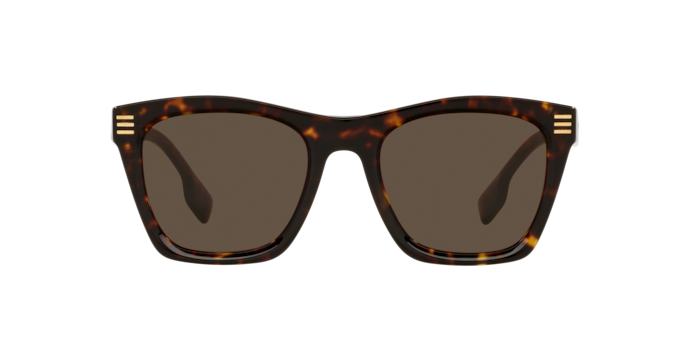 Burberry Cooper Sunglasses BE4348 300273