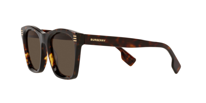 Burberry Cooper Sunglasses BE4348 300273