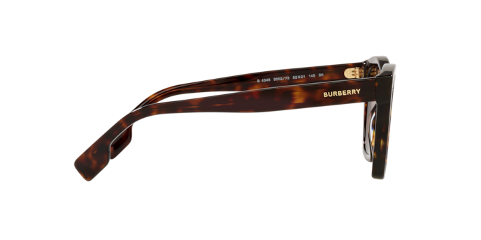 Burberry Cooper Sunglasses BE4348 300273