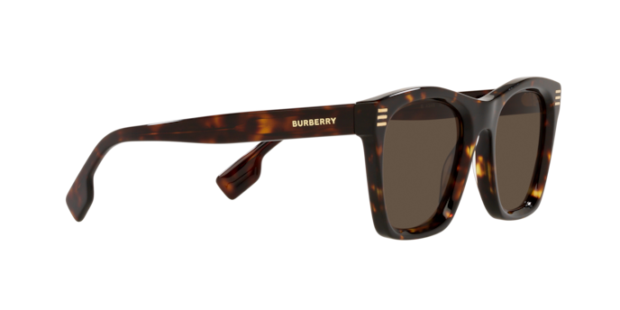 Burberry Cooper Sunglasses BE4348 300273