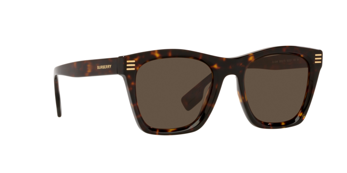 Burberry Cooper Sunglasses BE4348 300273