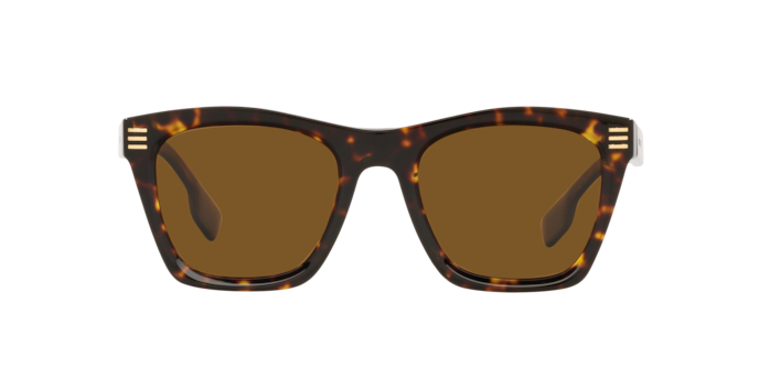 Burberry Cooper Sunglasses BE4348 300283