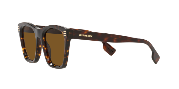 Burberry Cooper Sunglasses BE4348 300283