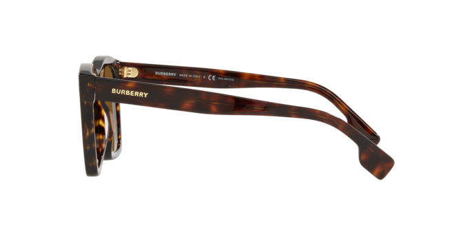 Burberry Cooper Sunglasses BE4348 300283