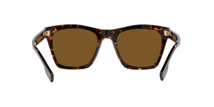 Burberry Cooper Sunglasses BE4348 300283