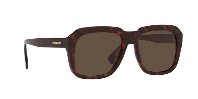 Burberry Astley Sunglasses BE4350 392073