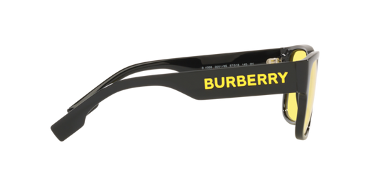 Burberry Knight Sunglasses BE4358 300185