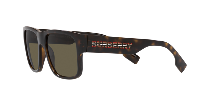 Burberry Knight Sunglasses BE4358 3002/3