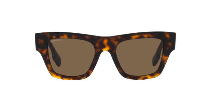 Burberry Ernest Sunglasses BE4360 399173