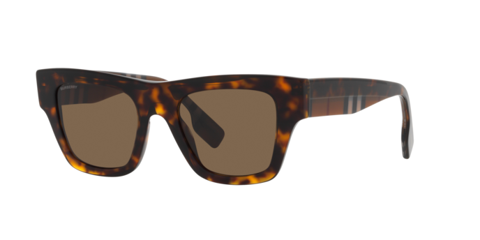 Burberry Ernest Sunglasses BE4360 399173