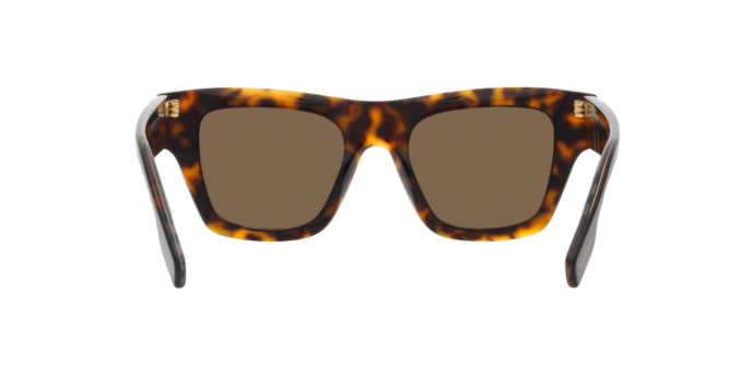 Burberry Ernest Sunglasses BE4360 399173