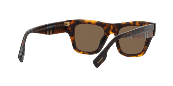 Burberry Ernest Sunglasses BE4360 399173