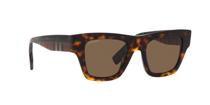 Burberry Ernest Sunglasses BE4360 399173