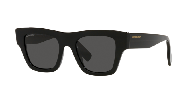 Burberry Ernest Sunglasses BE4360 399387