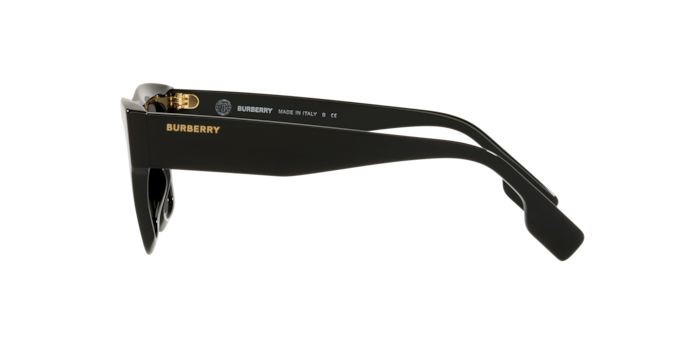 Burberry Ernest Sunglasses BE4360 399387