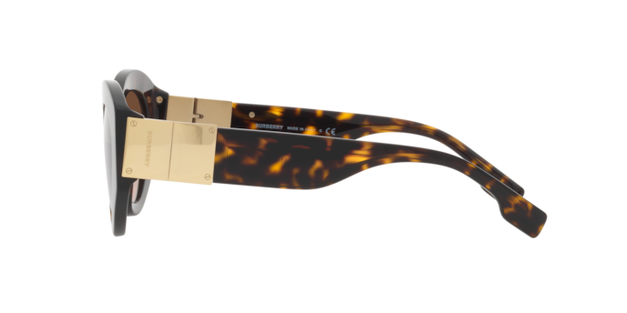 Burberry Sophia Sunglasses BE4361 300213