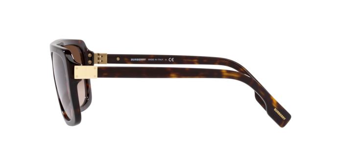 Burberry Joan Sunglasses BE4362 300213