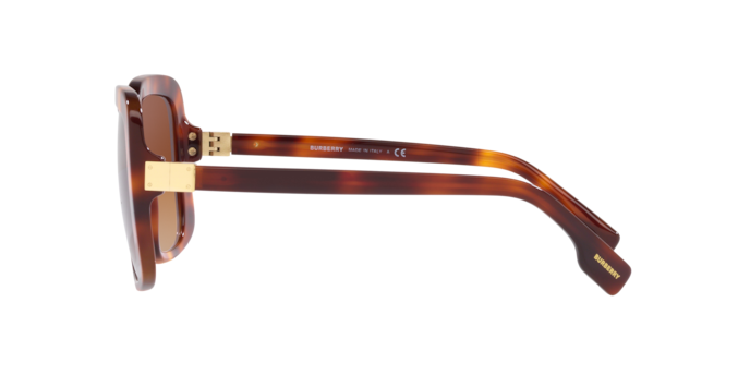 Burberry Penelope Sunglasses BE4363 331613