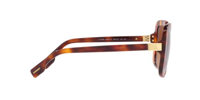 Burberry Penelope Sunglasses BE4363 331613