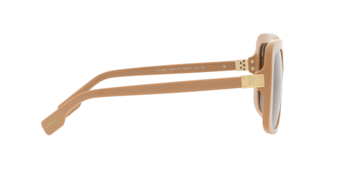 Burberry Penelope Sunglasses BE4363 3990T5