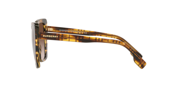 Burberry Tamsin Sunglasses BE4366 398113