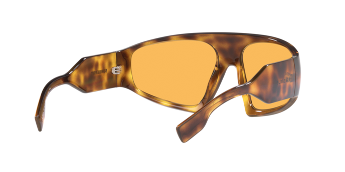 Burberry Auden Sunglasses BE4369 4013/7