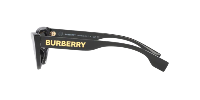 Burberry Debbie Sunglasses BE4373U 30018G