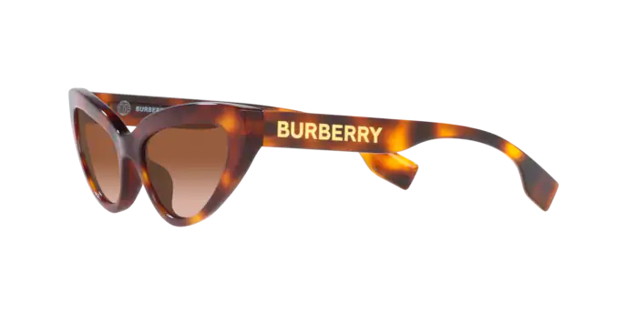 Burberry Debbie Sunglasses BE4373U 331613