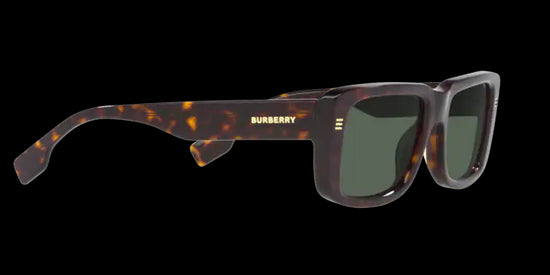 Burberry Jarvis Sunglasses BE4376U 300271