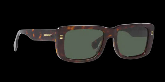 Burberry Jarvis Sunglasses BE4376U 300271