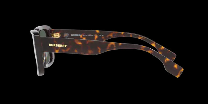 Burberry Jarvis Sunglasses BE4376U 300271