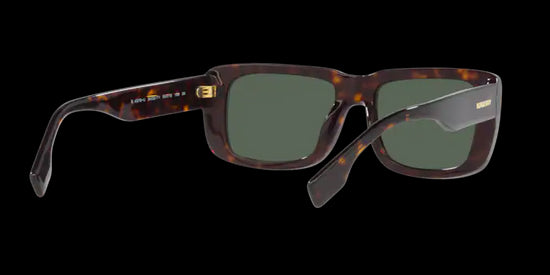 Burberry Jarvis Sunglasses BE4376U 300271