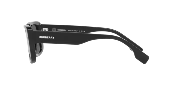 Burberry Jarvis Sunglasses BE4376U 300187