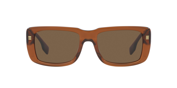 Burberry Jarvis Sunglasses BE4376U 398673