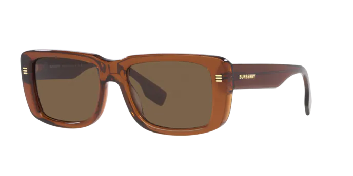 Burberry Jarvis Sunglasses BE4376U 398673