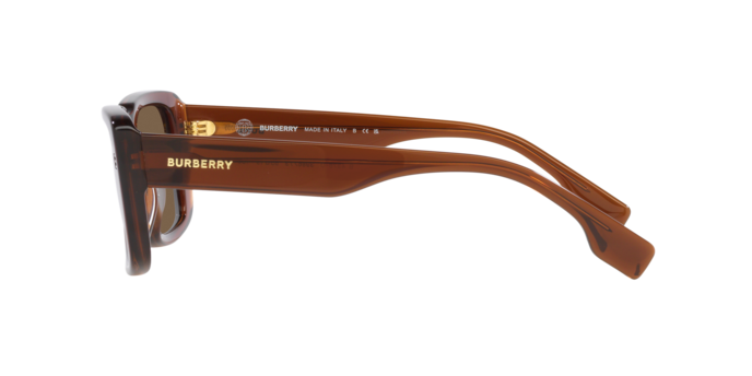Burberry Jarvis Sunglasses BE4376U 398673