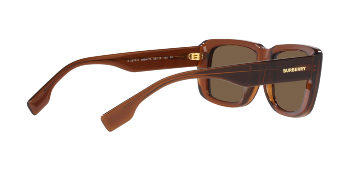 Burberry Jarvis Sunglasses BE4376U 398673
