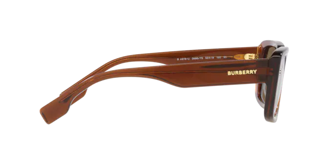 Burberry Jarvis Sunglasses BE4376U 398673