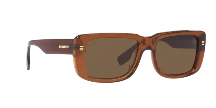 Burberry Jarvis Sunglasses BE4376U 398673