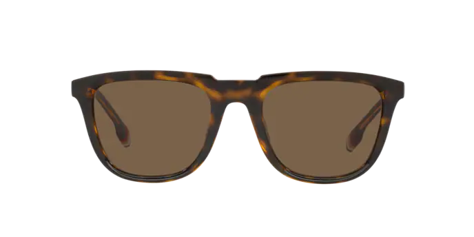 Burberry George Sunglasses BE4381U 300273